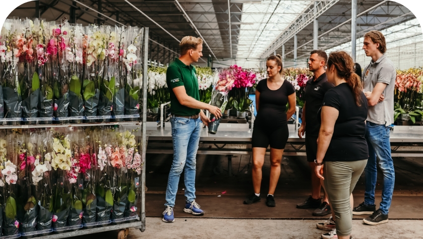 Een groep mensen staat in een kas terwijl een man in een groene polo uitleg geeft over orchideeën. De man houdt een pot met roze orchideeën vast. Links van de groep staan rekken vol met verschillende orchideeën in plastic verpakkingen. De kas is gevuld met rijen bloemen en planten onder een glazen dak.